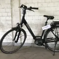 Vélo d'homme (Pegasus)