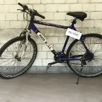 Vélo homme (autres)