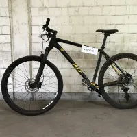 Mountainbike (Rose)