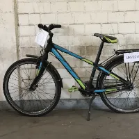 Mountainbike (Falter)
