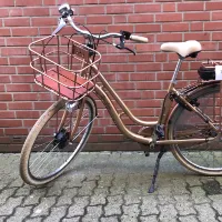 Elektrische damesfiets (Fischer)