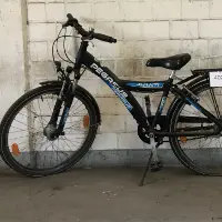 Vélo enfant (Pegasus)