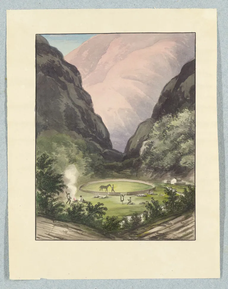 Carl Fr. Ph. von Martius – Collection de 19 dessins à l'encre de Chine (lavés et en sépia) et aquarelles ainsi que 32 planches lithographiées de E.…