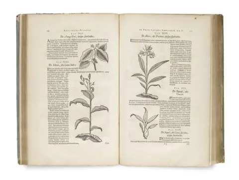 Willem et Georg Markgraf Piso – Historia naturalis Brasiliae, auspicio et benefi cio Illustriss