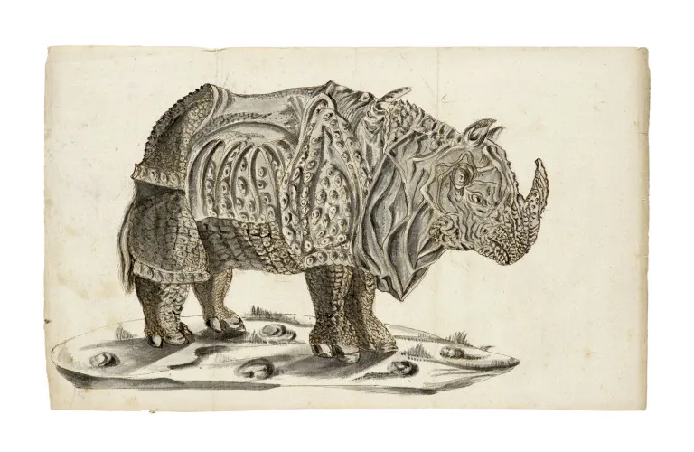 Podle Albrechta Dürera – Kresba "Rhinocerus". Kolem roku 1800