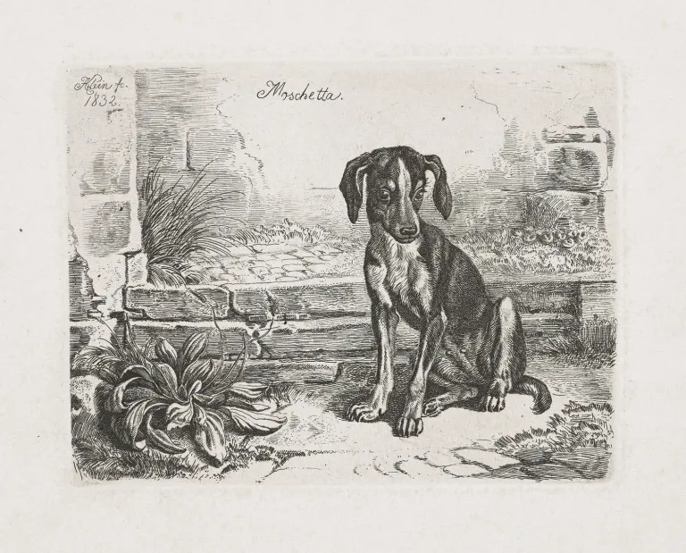 Johann Adam Klein – Collection de quatre eaux-fortes avec motifs de chiens