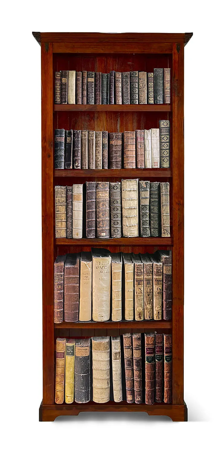 Barocke Gelehrten-Bibliothek in 59 Bänden des 17