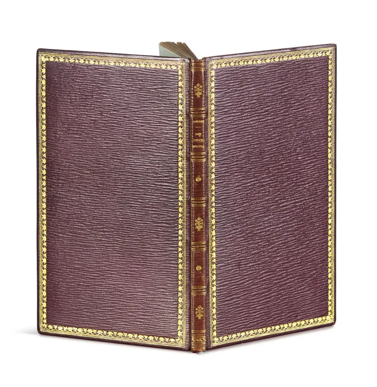 Johann Wolfgang von Goethe – Die Geschwister