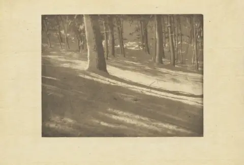 Alvin Langdon Coburn – Alvin Langdon Coburn