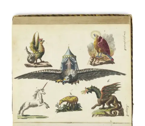 Friedrich Justin Bertuch – Livre d'images pour enfants, contenant une agréable collection d'animaux, plantes, fleurs, fruits, minéraux,…