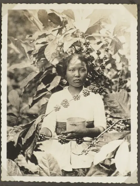 Avec le croiseur "Köln" vers les îles d'Afrique de l'Ouest 1930 / croiseur "Köln" (titre de couverture)