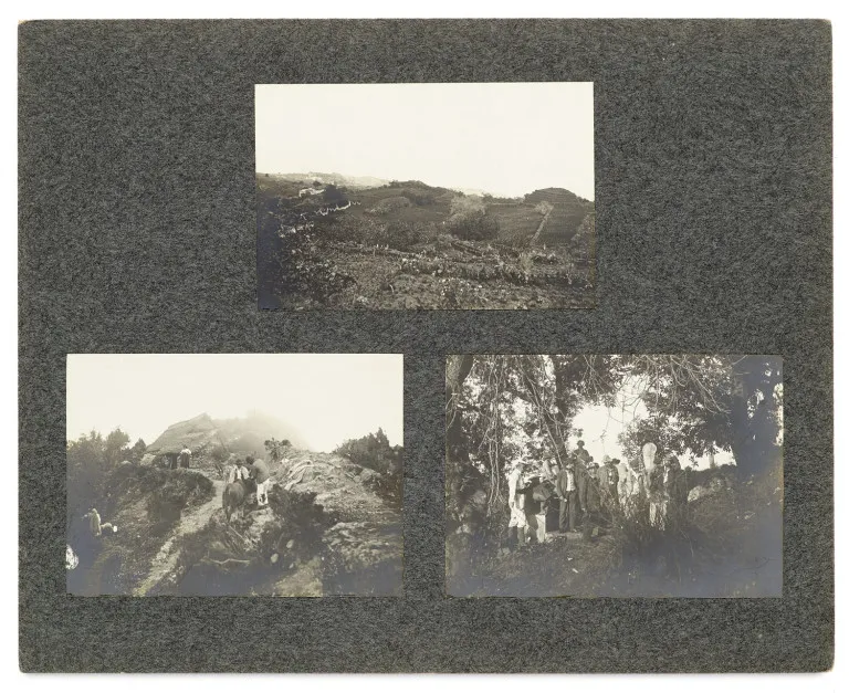 Sammlung von 89 Expeditionsphotos des deutschen Botanikers Erwin Baur auf den kanarischen Inseln