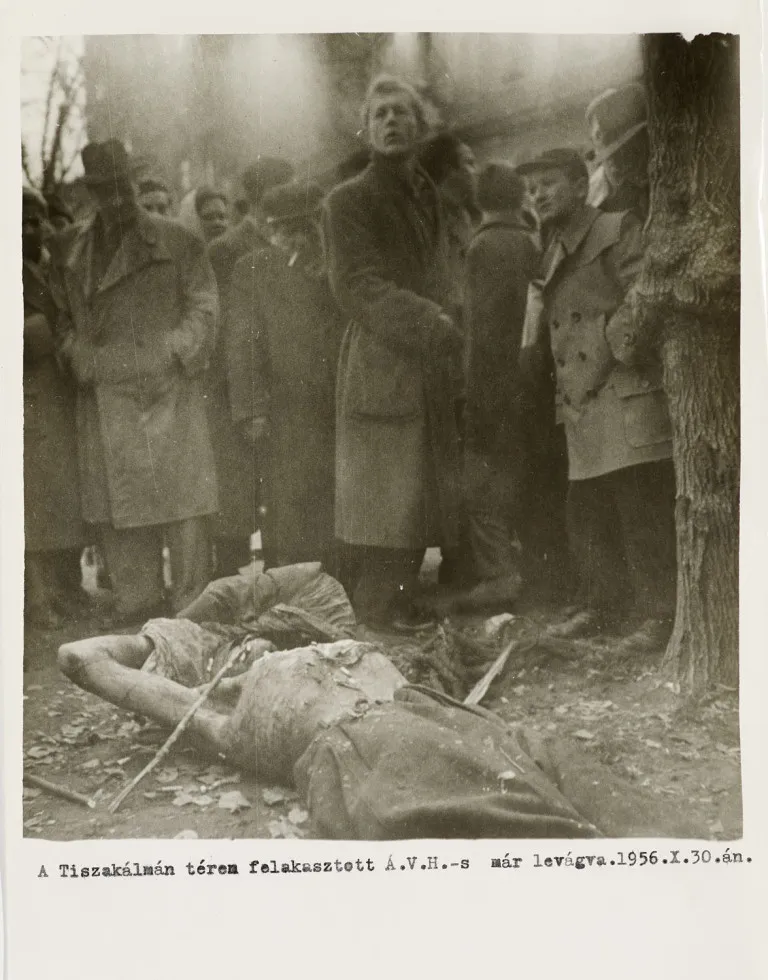 Photographie eines Gelynchten während der Ungarischen Revolution von 1956
