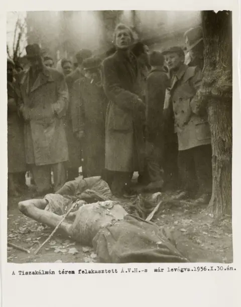 Photographie d'un pendu pendant la Révolution hongroise de 1956