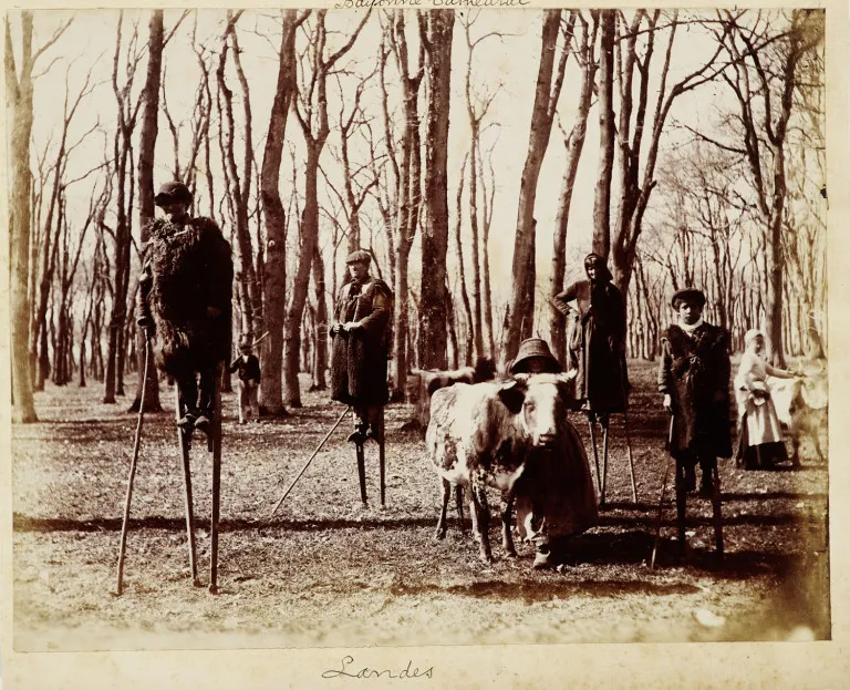 Emil Wangemann e.a. – Collectie van 14 deels grootformaat oude foto's