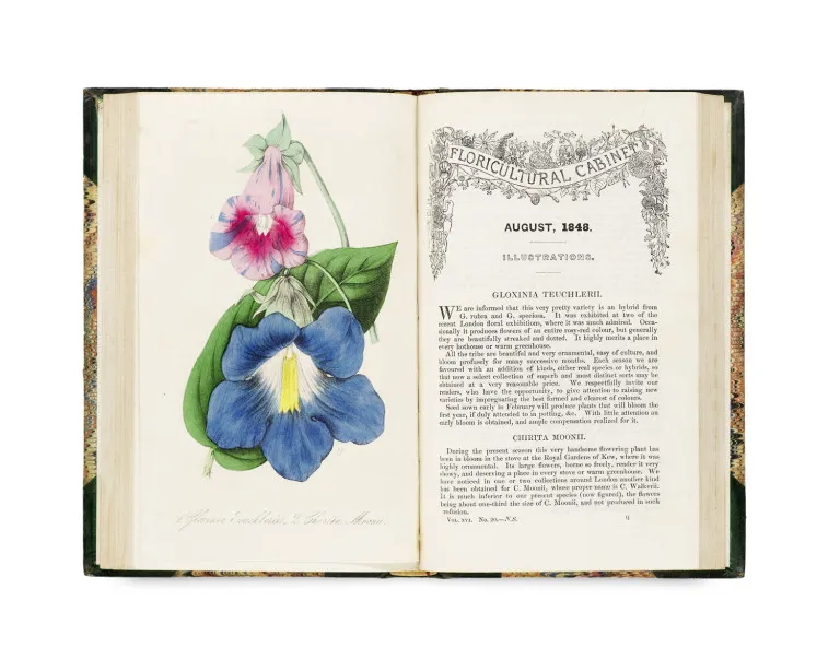 Joseph Harrison – The Floricultural Cabinet and Florists Magaziene ... Conducted by Joseph Harrison, Gardener