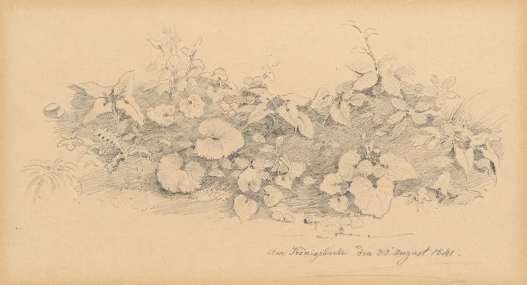 Album Amicorum allemand du 19e siècle