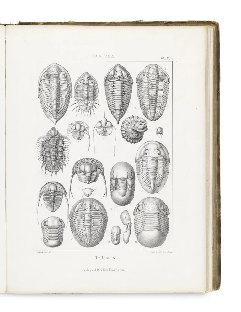 de la Rive, Francois Jules Pictet – Traite de Paleontologie ou histoire naturelle des animaux fossiles consideres dans leurs rapports…