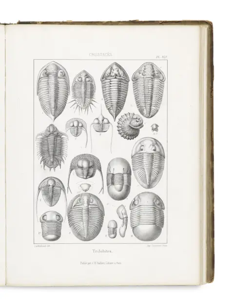 de la Rive, Francois Jules Pictet – Traité de paléontologie ou histoire naturelle des animaux fossiles considérés dans leurs rapports…
