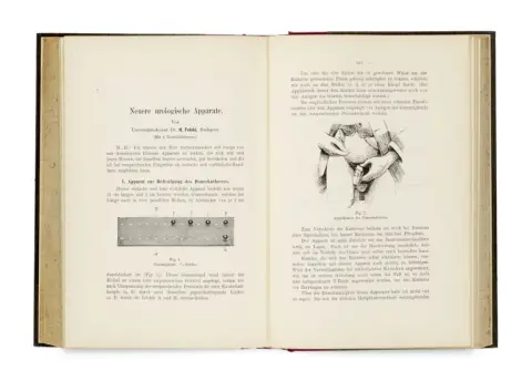 Actes de la société allemande d'urologie