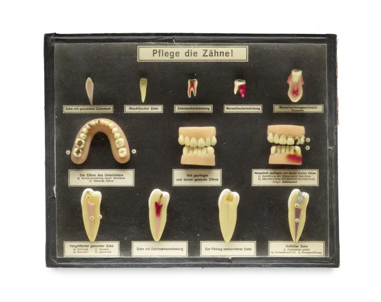 Prenez soin de vos dents ! Vitrine dentaire
