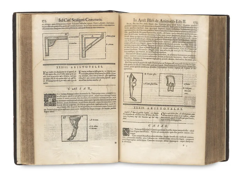 Aristote – Historia de Animalibus