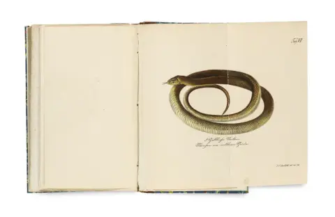 Harald Othmar Lenz – Schlangenkunde