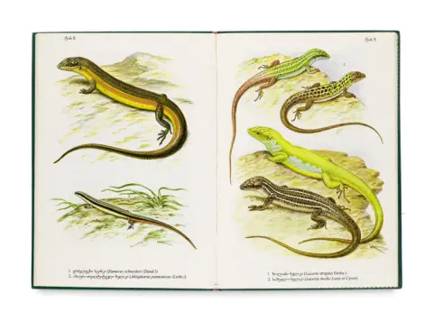T. Muskhelishvili – Atlas des amphibiens et reptiles de Géorgie
