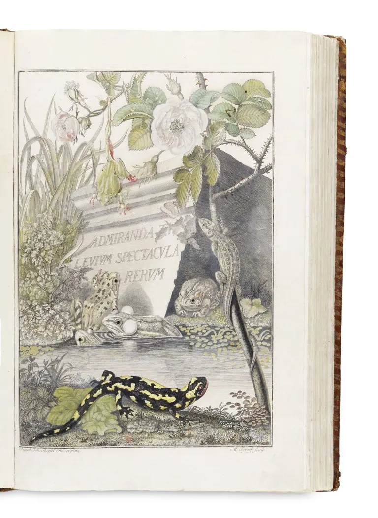 August Johann Rösel von Rosenhof u. Christian Friedrich Carl Kleemann – Historia Naturalis Ranarum