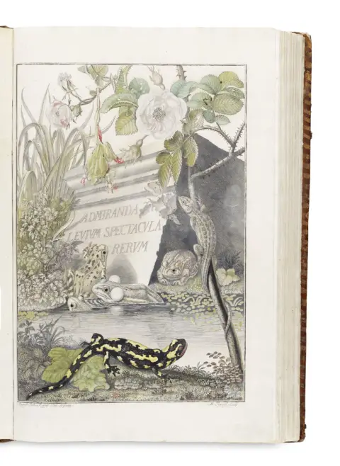 August Johann Rösel von Rosenhof en Christian Friedrich Carl Kleemann – Historia Naturalis Ranarum