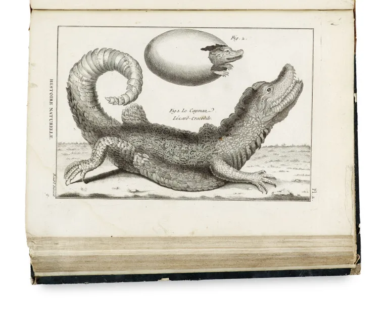 Pierre-Joseph Bonaterre – Tableau encyclopédique et méthodique des trois règnes de la nature, dédié et présenté à M. Necker, ministre…