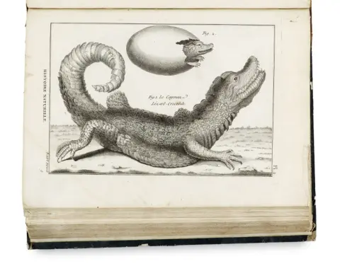 Pierre-Joseph Bonaterre – Tableau encyclopédique et méthodique des trois règnes de la nature, dédié et présenté à M. Necker, ministre…
