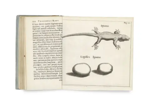 Francesco Redi – Observaties over adders geschreven in een brief aan Lorenzo Magalotti