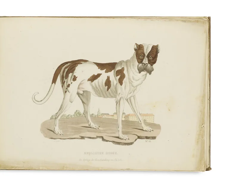 Theodor Götz (Hg.) – Hunde-Gallerie oder naturgetreue Darstellung des Hundes in drei und vierzig reinen unvermischten Racen