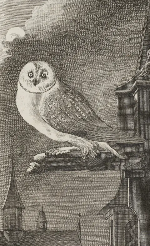 Georges Louis Leclerc Buffon – Histoire naturelle des oiseaux