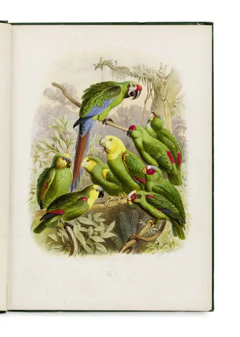 Anton Reichenow – Vogelbilder aus fernen Zonen