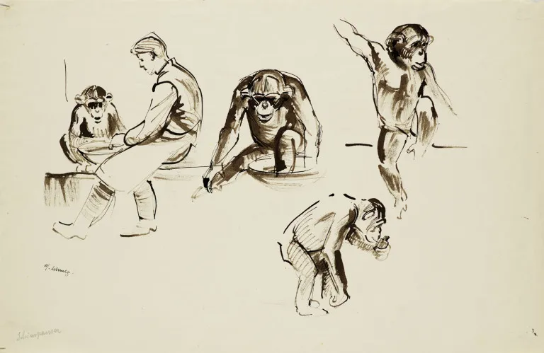 Martha Schmetz – 5 œuvres