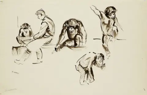 Martha Schmetz – 5 œuvres