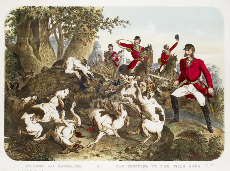 Collection de 17 gravures de chevaux et de chasse