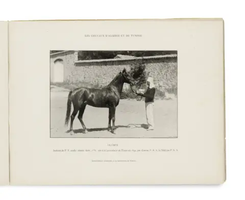 Georges Delton – Les Chevaux d'Algérie et de Tunisie