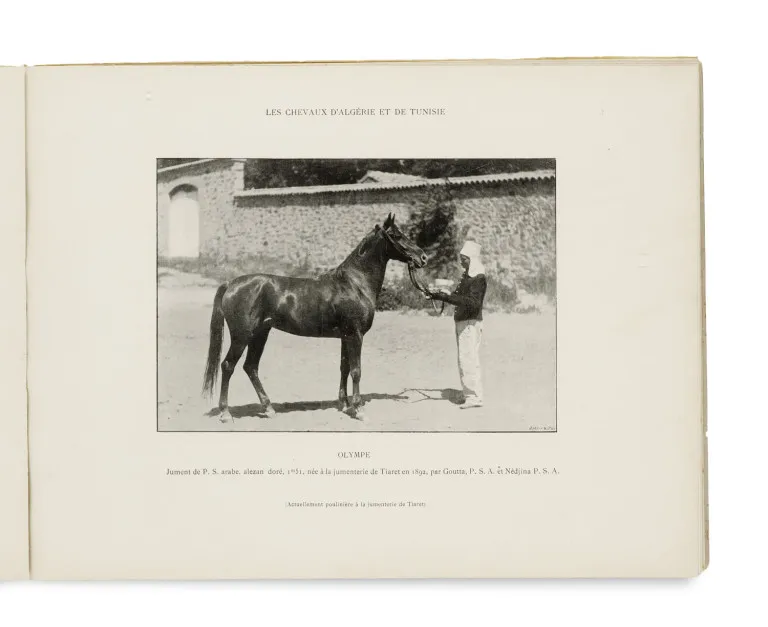 Georges Delton – Les Chevaux d'Algérie et de Tunisie
