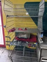 1 rack à paniers grillagés, 4 niveaux, mobile