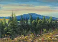 Erhard Zwar "Wildflowers. Motif from the Jizera Mountains. View over the Grellbusch towards the Lauban Hohwald". Circa 1940.