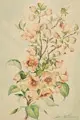 Otto Altenkirch, Cherry Blossom Branch. Probably around 1900.