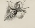 Ludwig von Hofmann, Orange Branch / "Reigen mit zwei Grazien". Probably circa 1900 / 1926.
