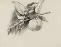Ludwig von Hofmann, Orange Branch / "Reigen mit zwei Grazien". Probably circa 1900 / 1926.