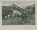 Friedrich Iwan, Summer at the Schneekoppe. Probably 1920s/1930s.