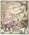 Peter Graf "Das Nashorn friert…". 1990.