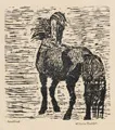 Wilhelm Rudolph, Horse in the Storm. After 1945.