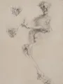 Horst Sakulowski, Variaties met de dood. 1983.